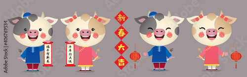 2021 chinese new year -  year of the ox character design collection. Cute cartoon cows holding chinese scroll and lantern with greetings couplet. (translation: May you have a prosperous new year)