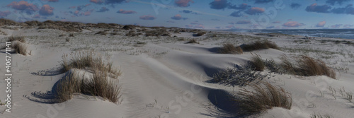 White dunes on Atlantic coast: Sao Jacinto Natural Reserve, Portugal