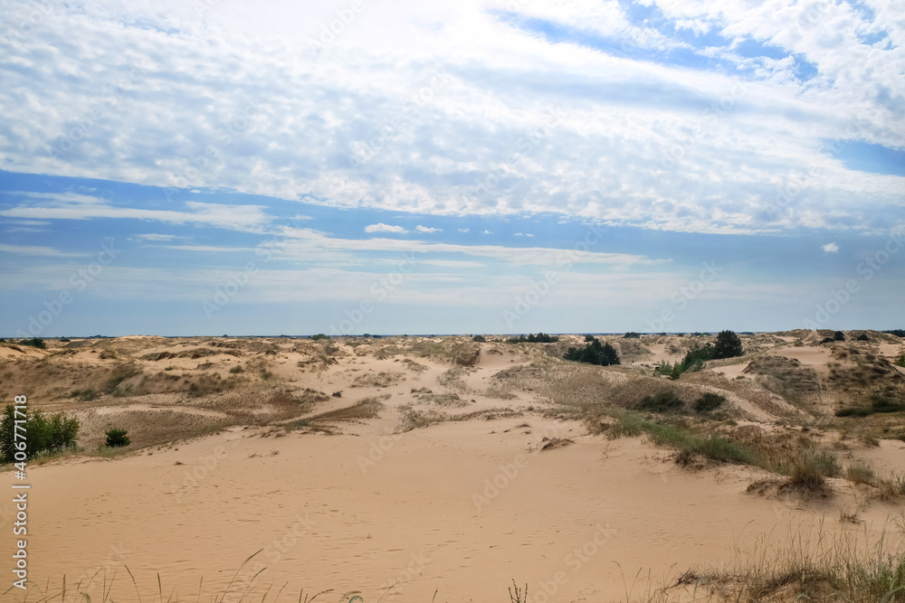 Picturesque landscape of desert with green grass and blue sky Picturesque landscape of desert with green grass and blue sky