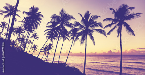 Fototapeta Naklejka Na Ścianę i Meble -  Silhouettes of coconut palm trees at sunset, color toning applied.