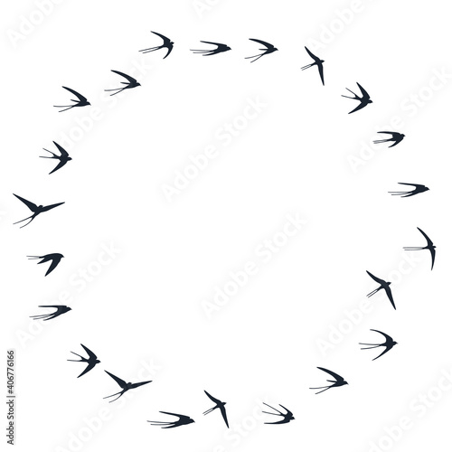 Flying swallow birds silhouettes vector illustration. Migratory martlets bevy isolated on white.