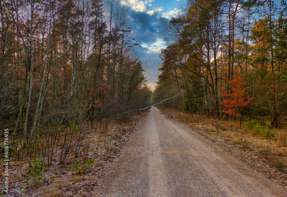 Naklejka premium Waldspaziergang im Herbst