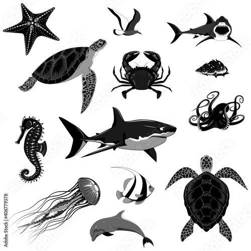 Set of sea animals. Vector monochrome image of sharks, turtles, dolphin, crab, seahorse, octopus, sea star, fish, jellyfish