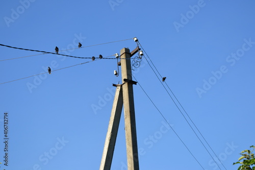 lines in the sky lines on a blue sky  sky wire electrical ukraine nature birds bird technology                                                                                                                             
