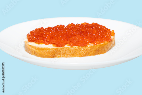 Big sandwich with red caviar and butter on the plate isolated on blue. Red salmon caviar.