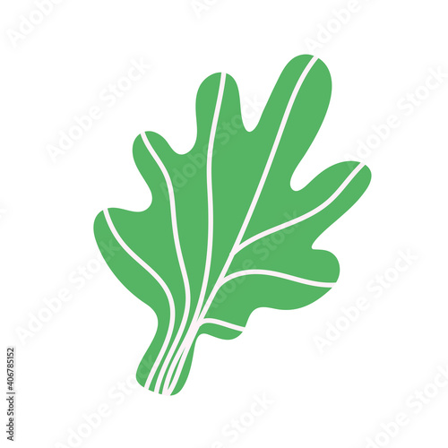 cooking food lettuce vegetable cartoon flat icon