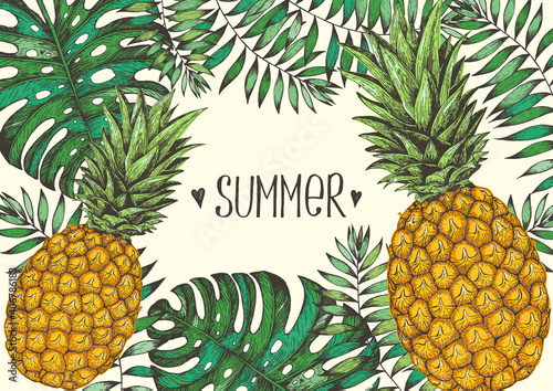 Pineapple hand drawn illustration. Organic food design template. Colored vector illustration. Healthy food frame. Farm market concept. Pineapple fruit. Tropical style