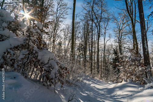 Snowshoe tour at the Gehrenberg near Lake Constance photo