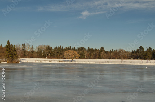 Frozen Lake at Hawrelak Park