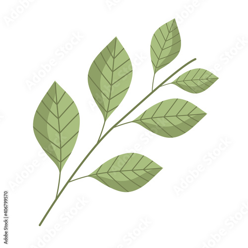 branch foliage plant nature decoration cartoon icon isolated style