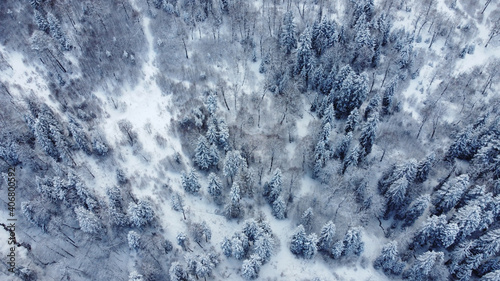 Snowed Forest Aerial View - Drone view of the Snowed Trees © george