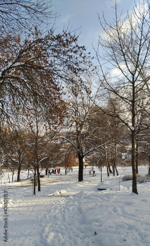 Trees and people in the city park in winter in frosty weather
