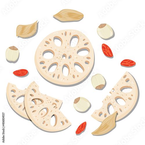 beautiful Flat Lay Food style vector illustration of  ingredient, isolated on white background. Chinese traditional herb and dish. sliced lotus root, lotus seeds, goji berries, lily bulb, 