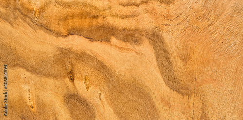 Closeup von einer Holzstrukur. Altholz von einem Ölbaum. 