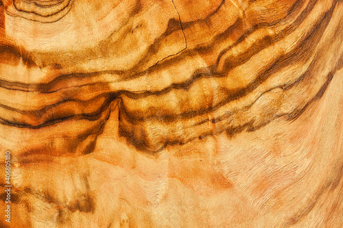 Closeup von einer Holzstrukur. Altholz von einem Ölbaum. 