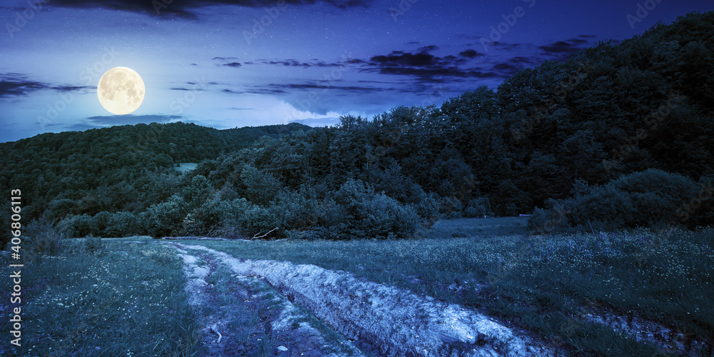 Fototapeta premium dirt road through forested countryside at night. beautiful summer rural landscape in mountains. adventure in nature scenery in full moon light