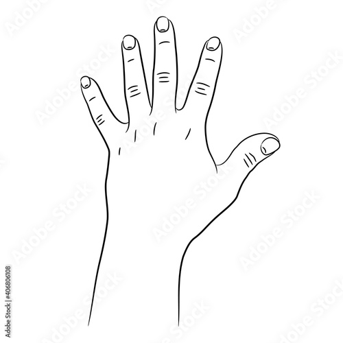 Hand with five fingers raised up sketch draw from the contour black brush lines different thickness on white background. Vector illustration.