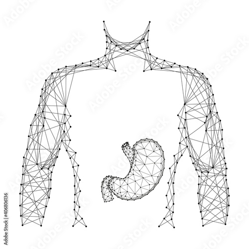 Stomach is in the body the human torso, anatomical digestive organ from abstract futuristic polygonal black lines and dots. Vector illustration.