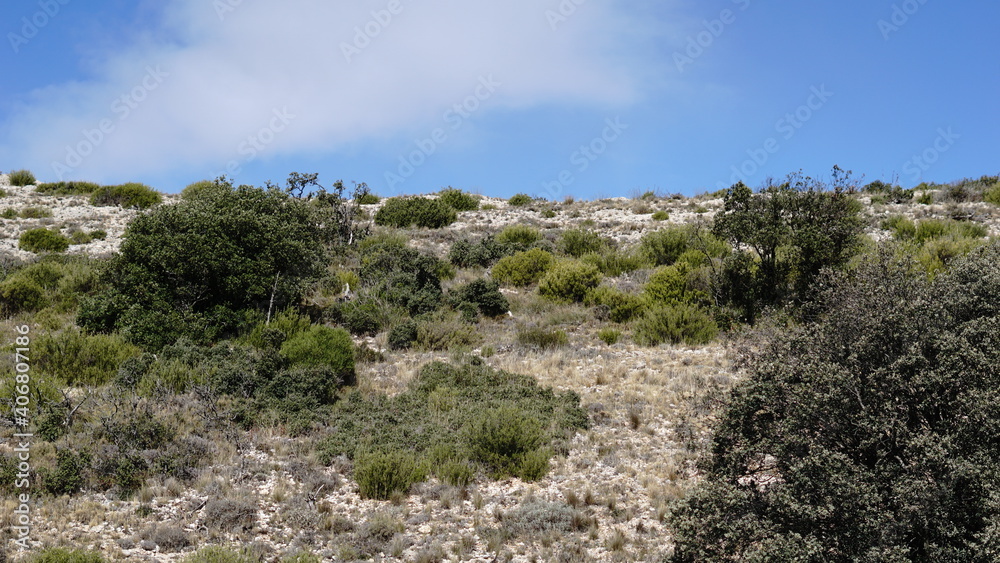 semi desert landscape against sky background