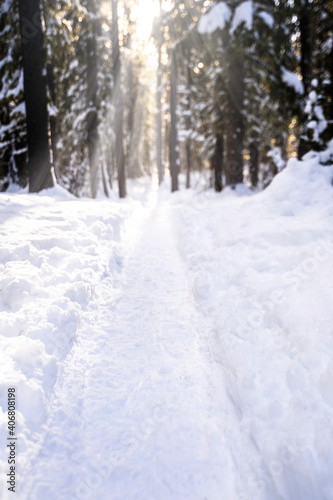 A winter snowshoe and hiking trail through deep snow in West Bragg Creek Alberta Canada with sun rays.  © Ramon Cliff