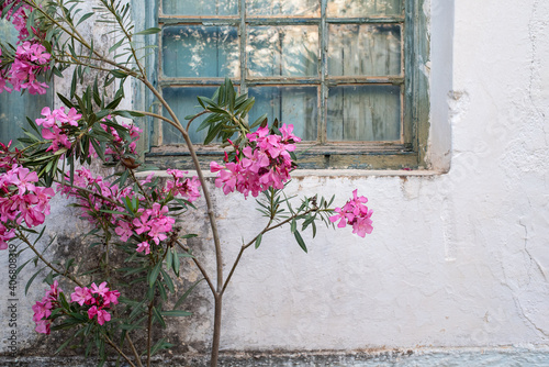Kardamili, Peloponesse, Greece - June 01, 2019: Flower outside a closed window