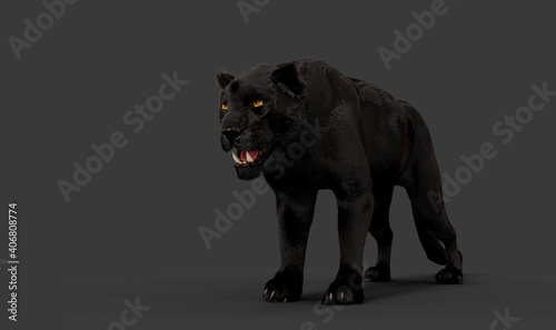 Powerful Black Panther with gold color eyes on a gray back ground 