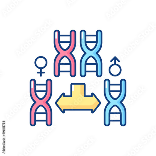 Chromosome division RGB color icon. Genetic engineering. Gene helix. Male and female chromosome. Human reproduction. Medicine, biology research. Science analysis. Isolated vector illustration
