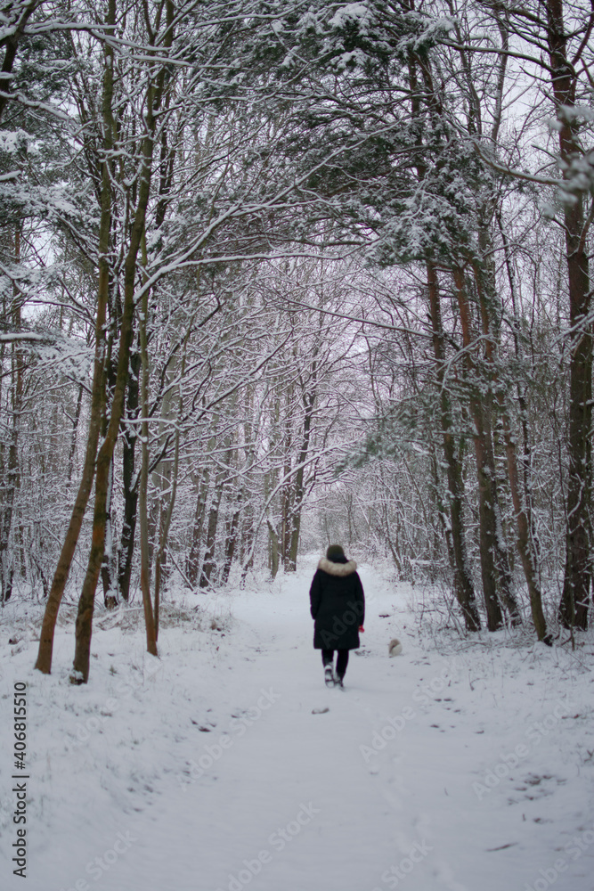 a walk in the heart of winter a walk in the heart of winter