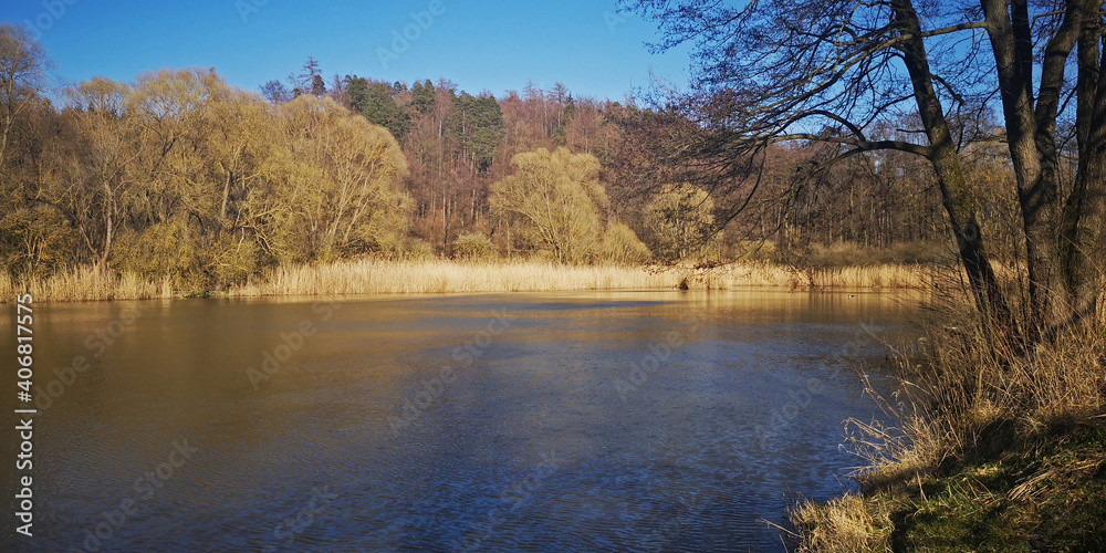 Ein Teich in Attchenbach