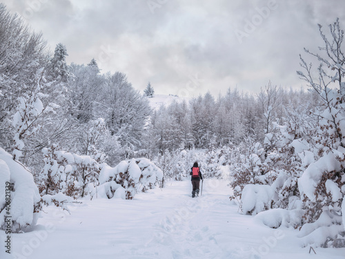 Hiker on a trail on a cloudy day in Carpathian Mountains, Romania. Snowy winter landscape.