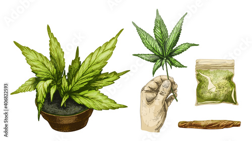 Set Marijuana. Cigarettes, pipe, lighter, buds cannabis. Vintage engraving