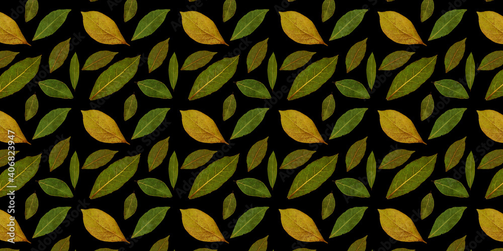 Floral pattern. Bay leaf border. Laurel leaf creative banner. Black background.