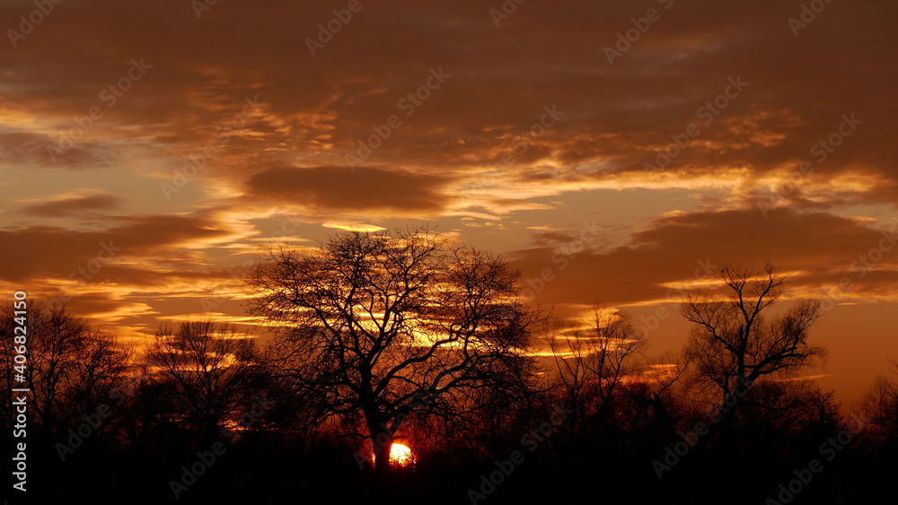 Fototapeta premium Sunset in the fields