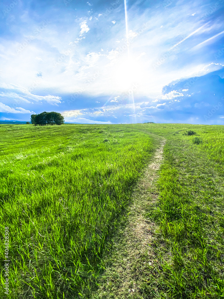 Fototapeta premium Prairies