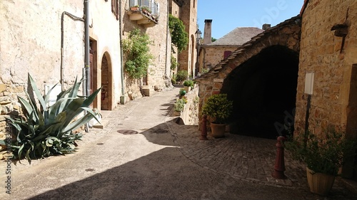 Fototapeta Naklejka Na Ścianę i Meble -  Village de Peyre.petite ruelle