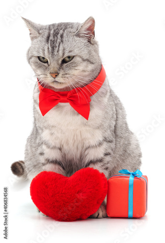 Cat with toy heart.
