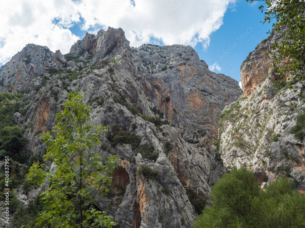 Limestone rock face of Gola Su Gorropu gorge with green bush and trees. Famous tourist hiking destination at Supramonte Mountains, Nuoro, Sardinia, Italy. Summer
