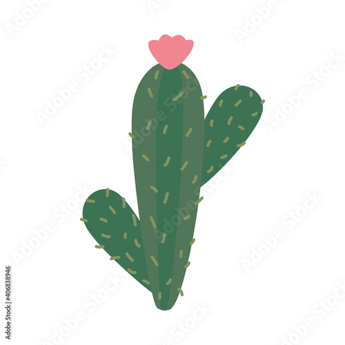 cactus hand drawn icon, colorful design