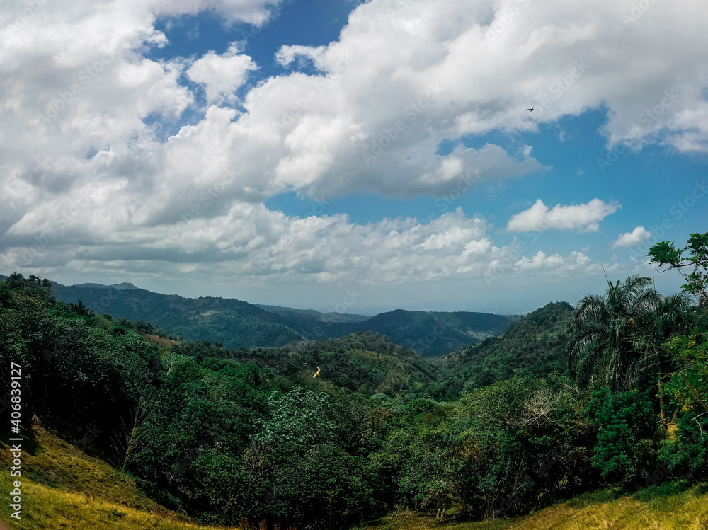 Naklejka premium Rural landscape with green forest and cloudy sky