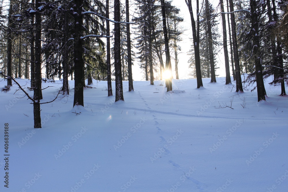 Fototapeta premium Trees covered with hoarfrost and snow in mountains. Sunset in a winter forest.
