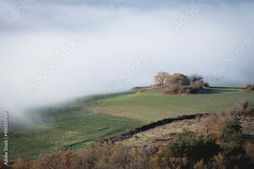 Mer de nuages envahissant une prairie