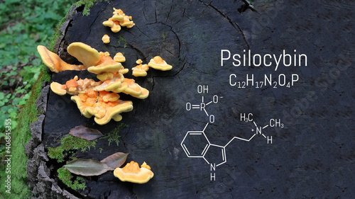 Chemical formula of psilocybin on a blackboard magic mushrooms.  Psilocybin mushrooms, a psychedelic drug that causes hallucinations