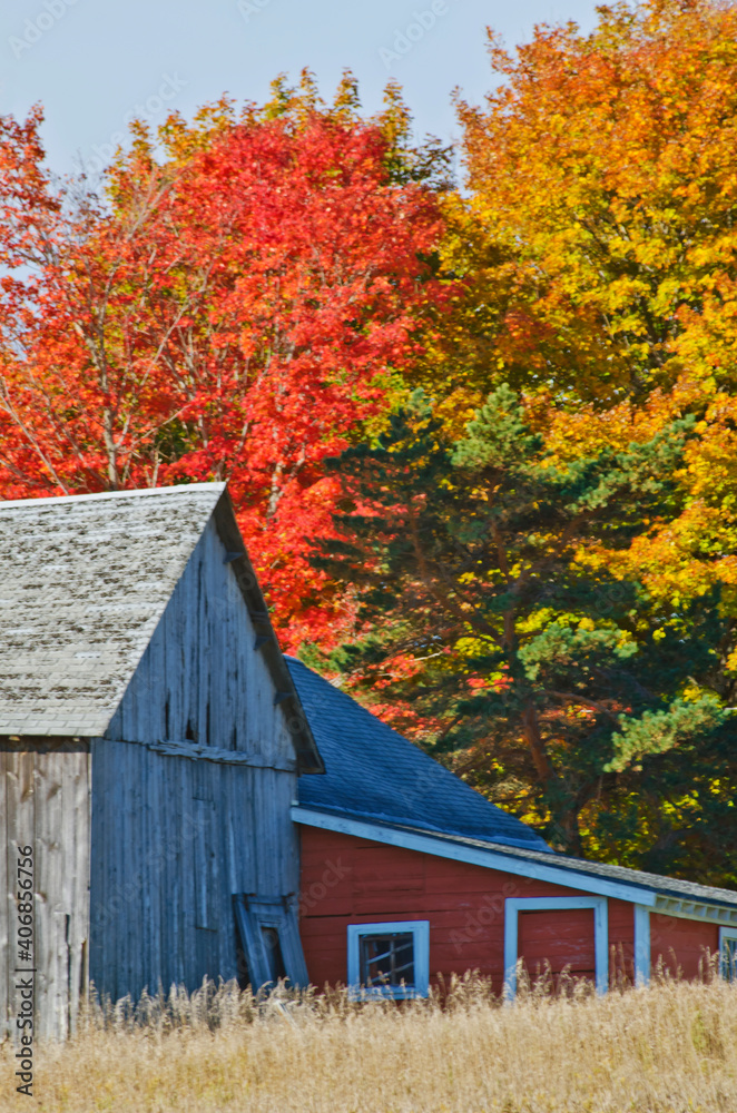581-67 Autumn Barn 581-67 Autumn Barn