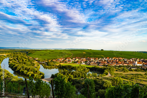 landscape with sunflowers Unterfranken, Germany, Mainschleife