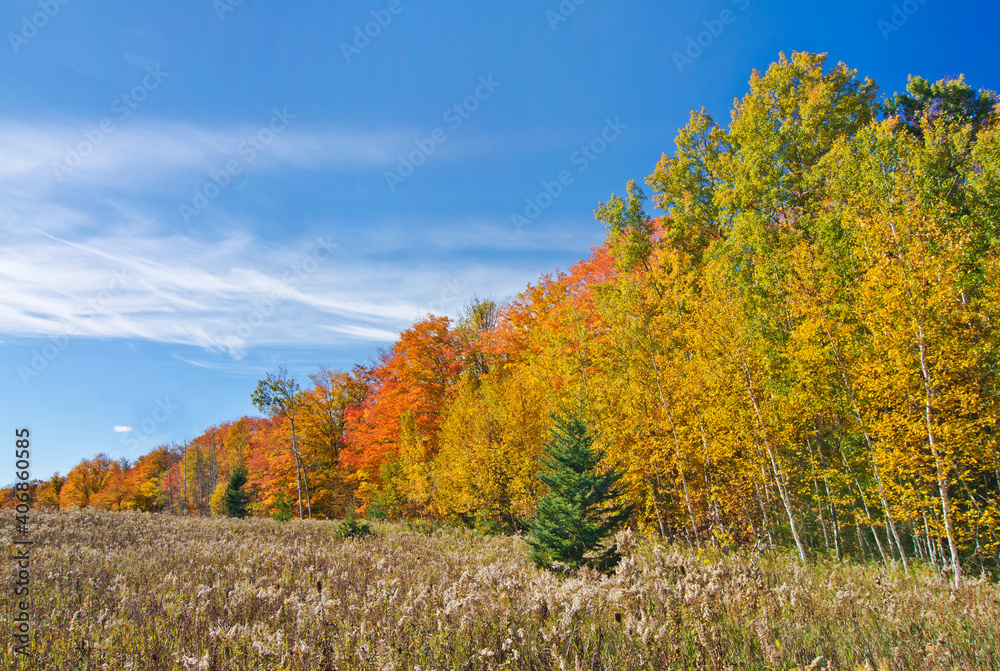 581-99 Newport Autumn Field