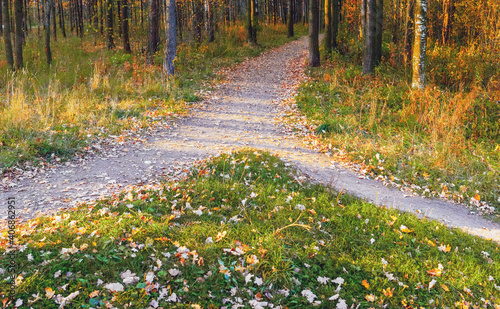 Two paths merged into one in the autumn park in the rays of the setting sun