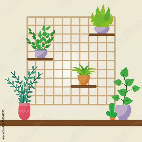 decroative plants in shelves, colorful design photo