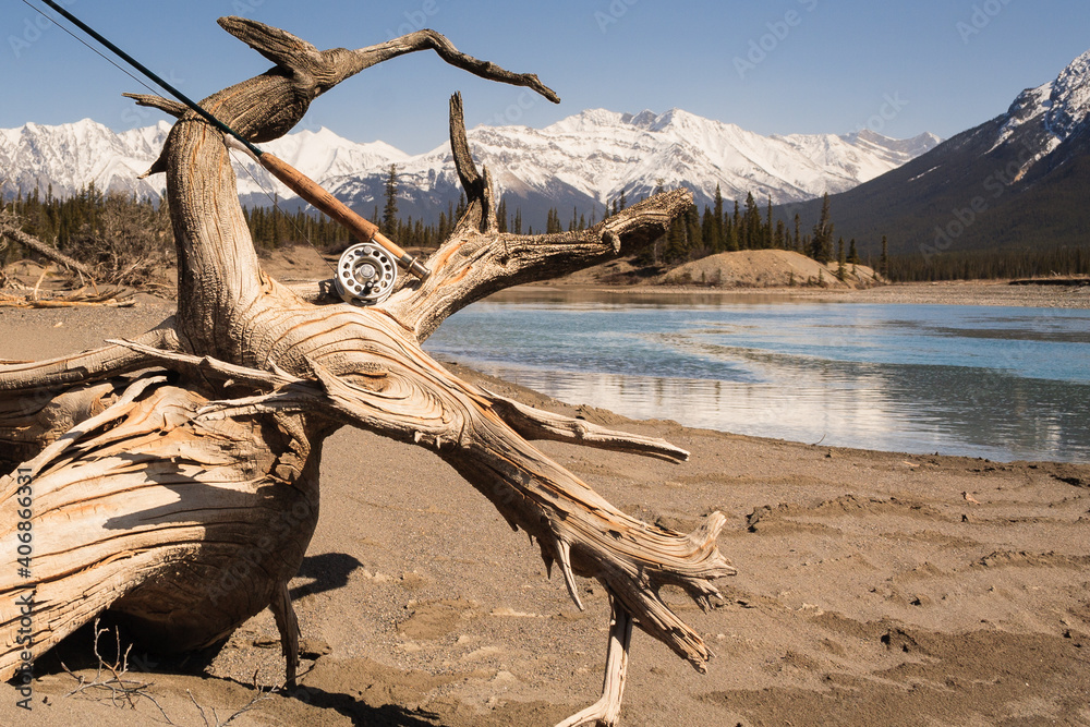 Isolated fly rod and reel on a weathered piece of driftwood along the shoreline of the North Saskatchewan River in the Kootenay Plains region of Alberta