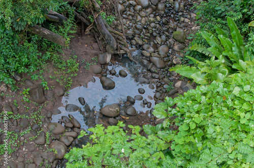 Clean, clear water in a creek with smooth stones and green plants, Costa Rica