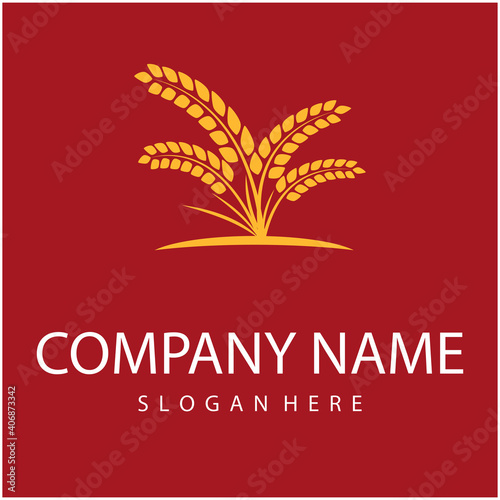Agriculture wheat vector icon design